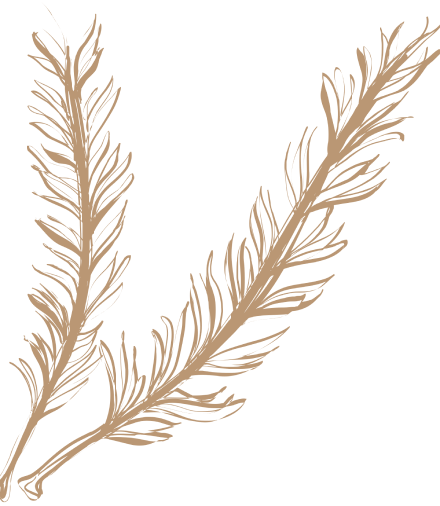 noun rosemary 1979810 1.png